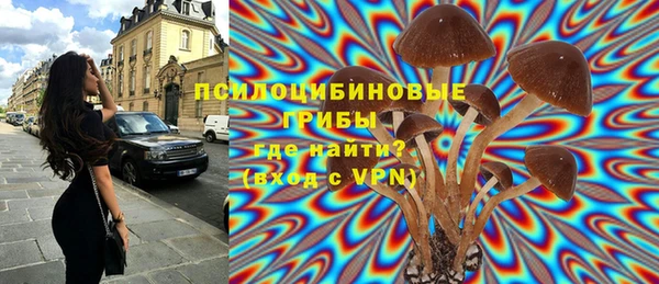 гидра Баксан