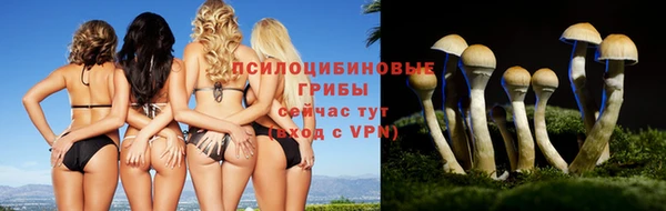 МДПВ Балахна
