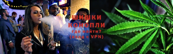 сатива Балабаново