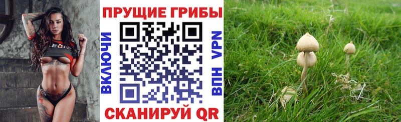 Галлюциногенные грибы GOLDEN TEACHER  omg рабочий сайт  Воскресенск  как найти  